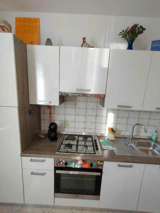 The Nice Dreams Studio Apartment 扎达尔 外观 照片